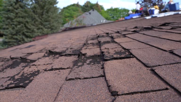Best Steel Roofing  in Bonne Terre, MO